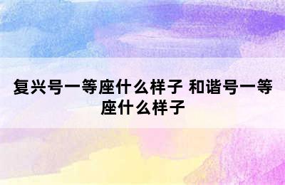 复兴号一等座什么样子 和谐号一等座什么样子